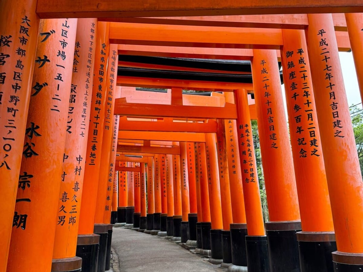 Fushimi Inari Taisha, Torii gates to temple walk