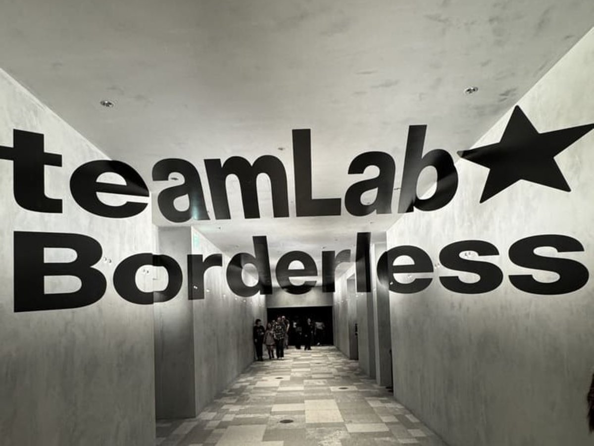 teamLab Borderless, Market, sumo, and light