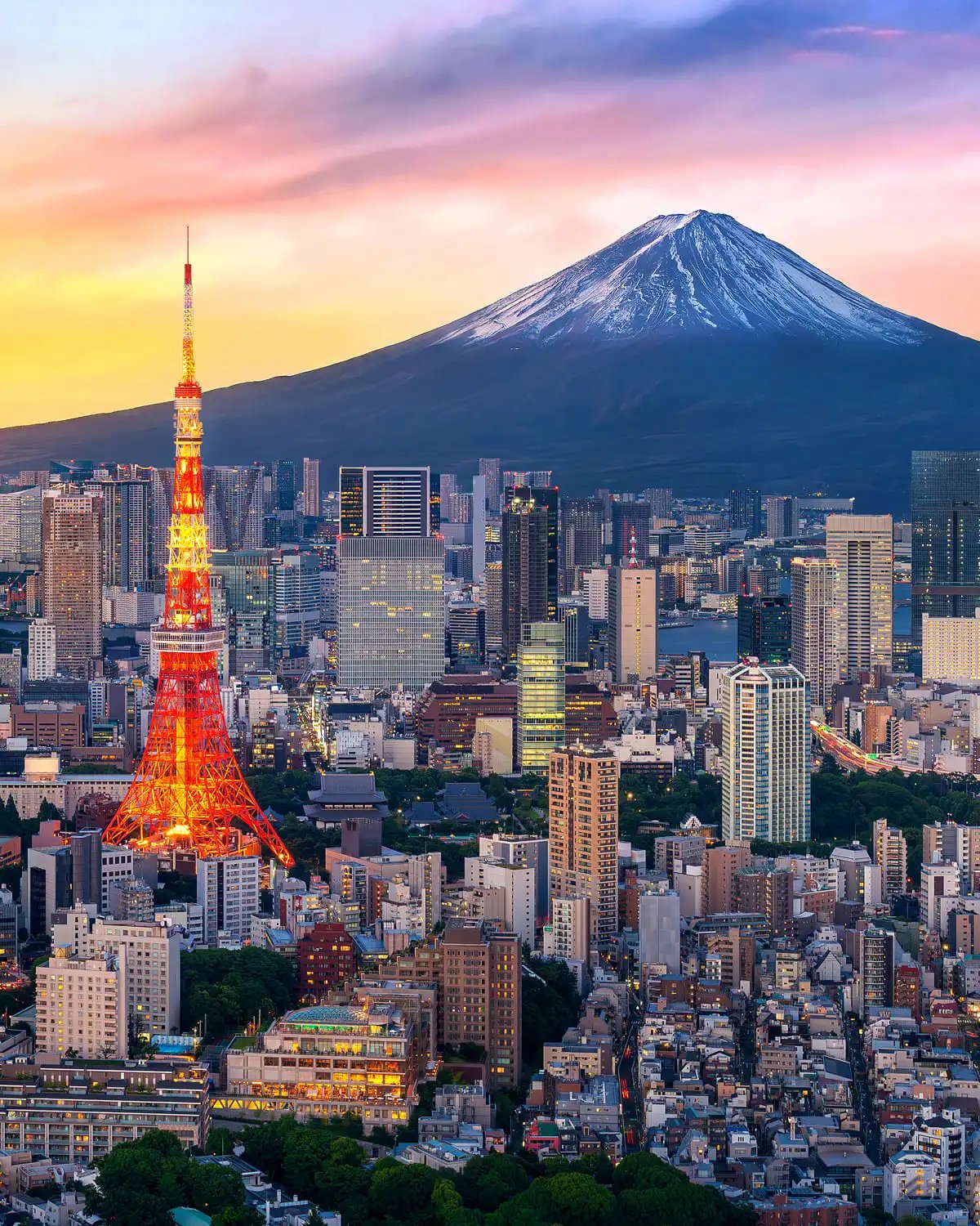 Tokyo travel guide