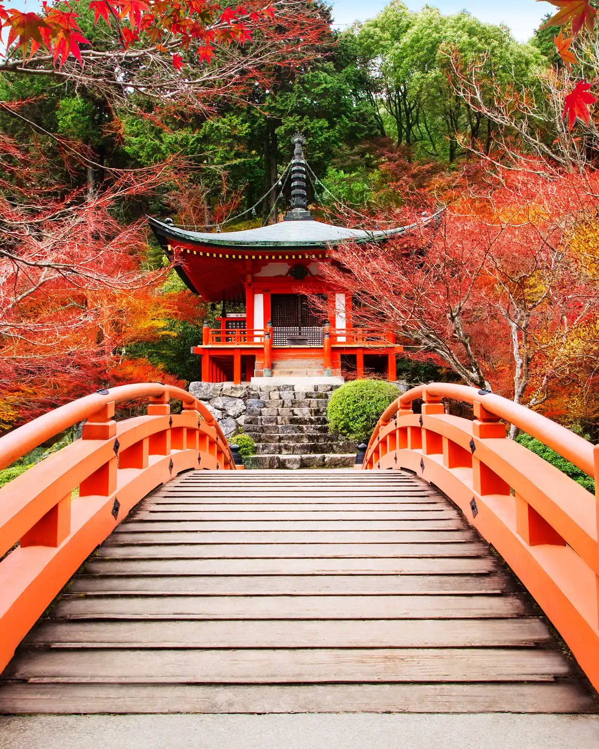 Kyoto & Universal Studios travel guide
